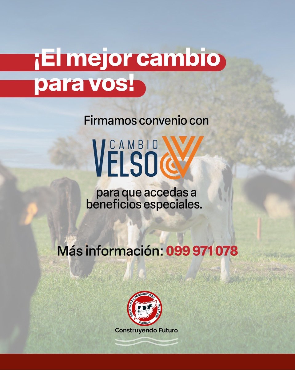 _splf's tweet image. 🤜🏻🤛🏻 Seguimos construyendo alianzas para brindarte beneficios. 
Firmamos convenio con @cambiovelso para que accedas a condiciones especiales.

👉🏻 Por información: 📲 099 971 078

#splf #construyendofuturo #convenios
