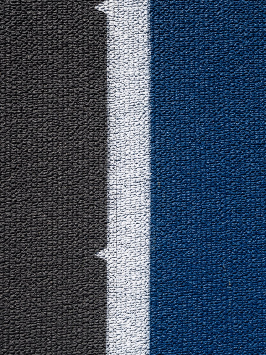 Gators Track and Field & Cross Country tweet media