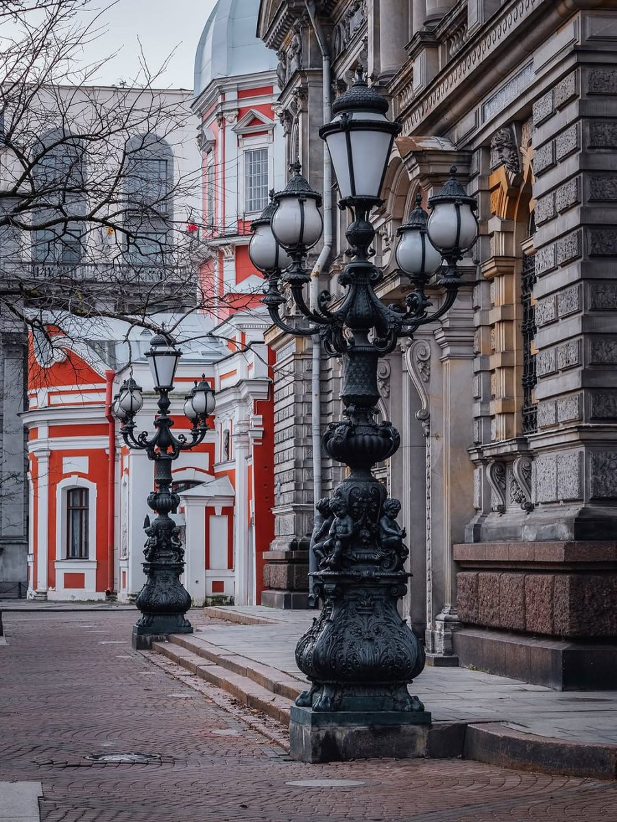 Дикий Петербург tweet media