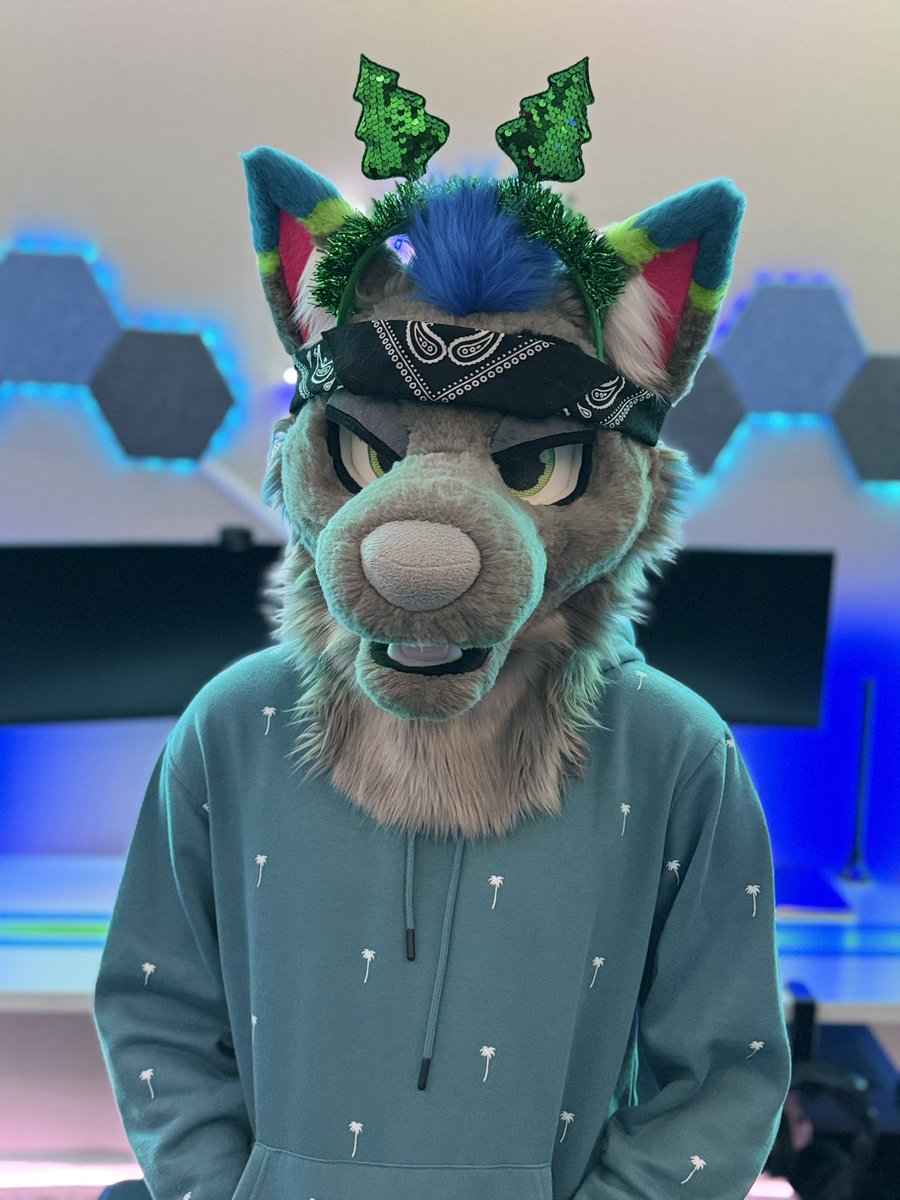 Do I look festive? 😋🎄❄️

#furry #fursuit #furryfandom