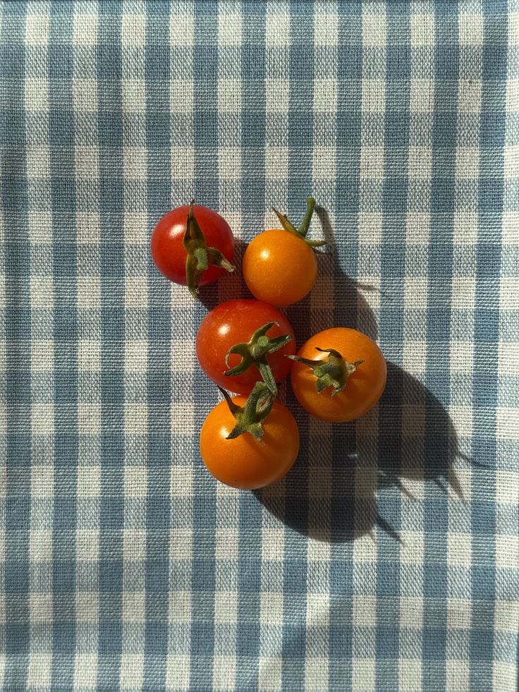 ᅠ (@sehviyat) on Twitter photo 