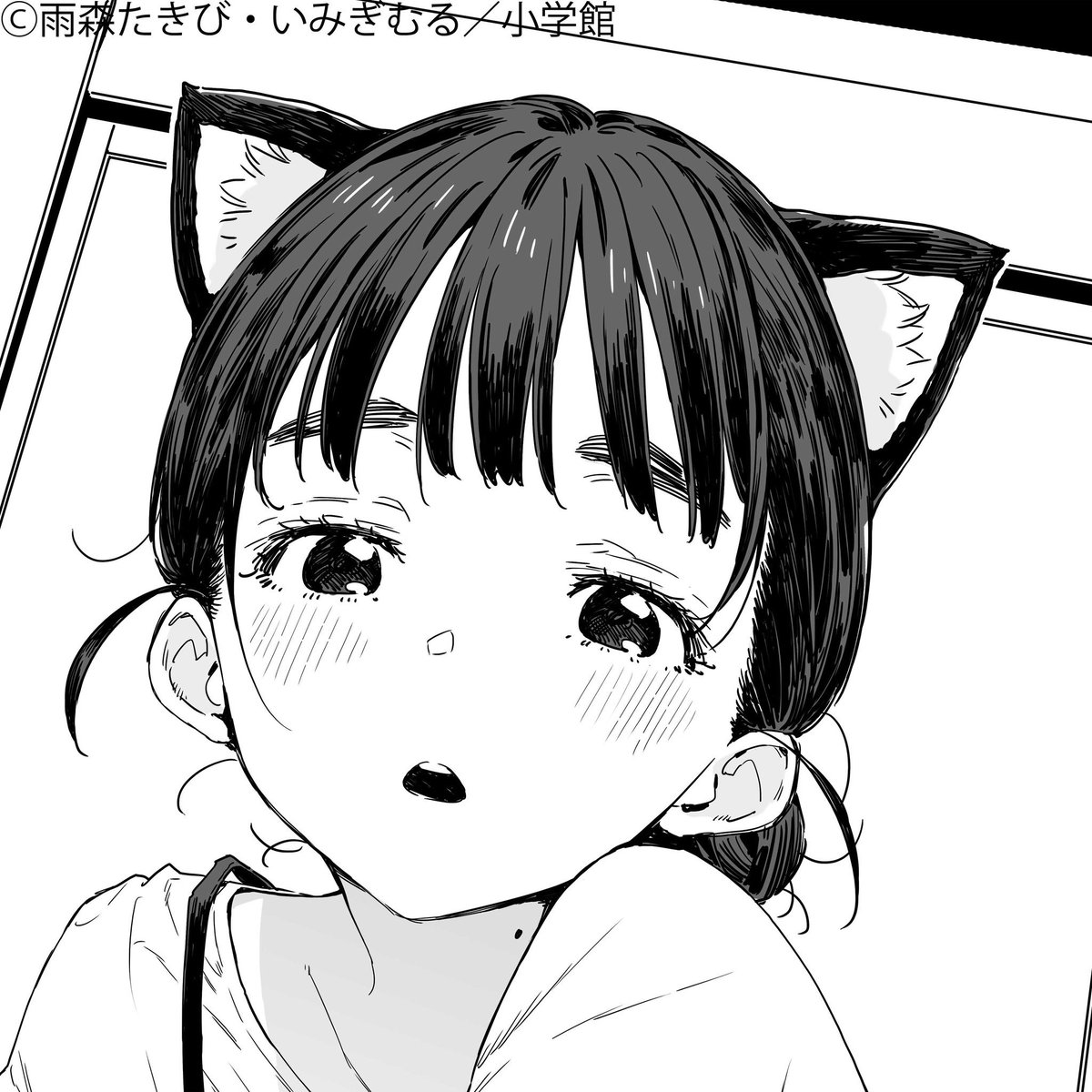 おはようございます