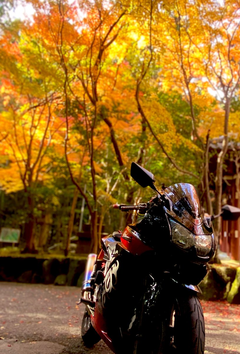 mimi( ◔︎㉦◔︎ ) (@mimi_mimi250) / Posts / X