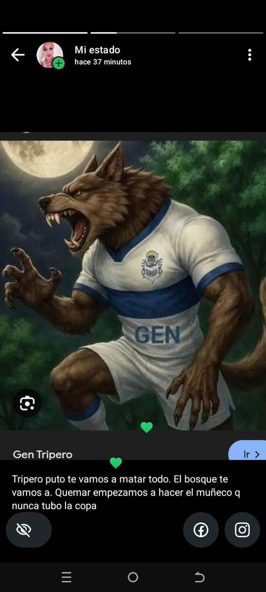 Tripero puto te vamos a matar todo el bosque te vamos a quemar se empiesa a soldar muñeco lobo sin copa 🍸 
Quien quiera colaborar estamos en 91 e 126 y 127   alias .. 
(Jade.desiree)  Titular jade desiree hofstatter