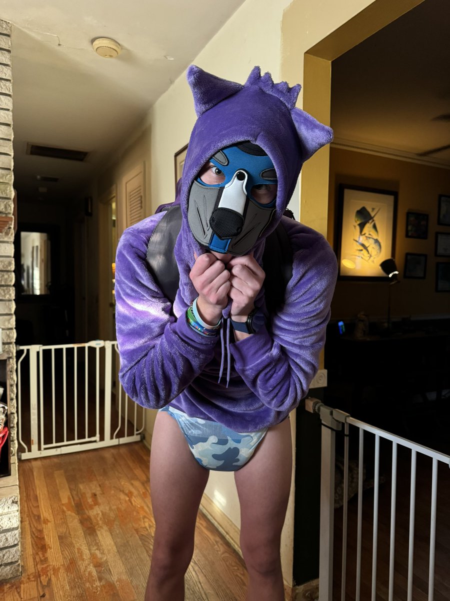 pupper_dash's tweet image. This puppy had big last day of school yesterday, my diaper may be big and soggy but I look super cute