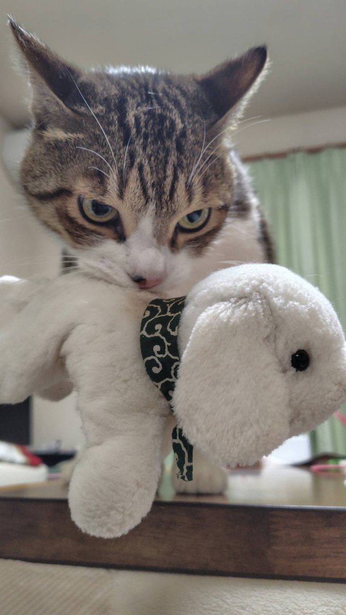 のぶりん (@Nana7Poirot1) / Posts / X