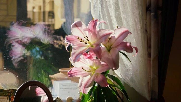 greenvibe's tweet image. 