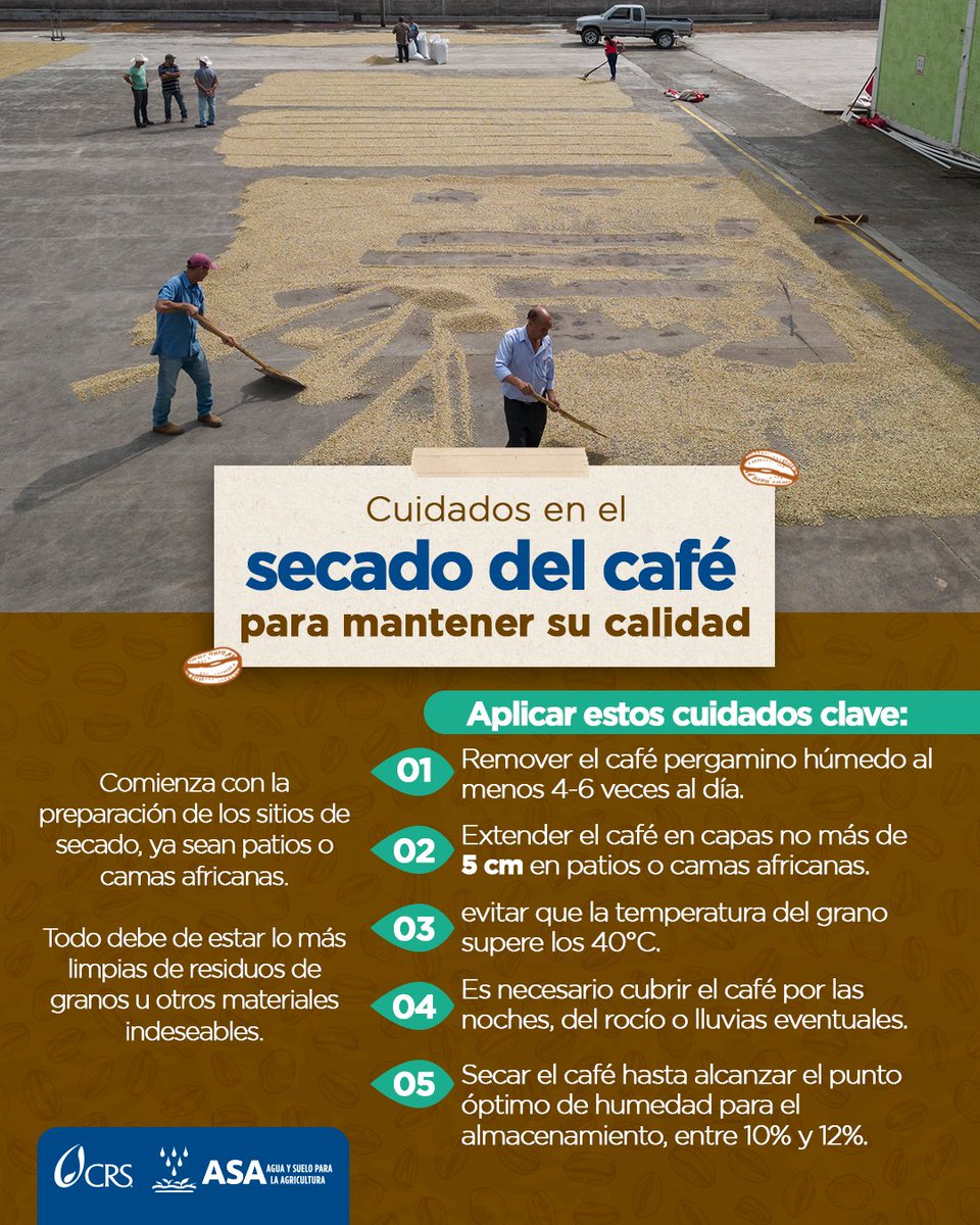 ☕🌞 Un buen secado cuida la calidad del café.
Remueve el grano varias veces al día, sécalo en capas delgadas, evita que pase de 40 °C, cúbrelo por la noche y guárdalo solo con 10–12% de humedad.
👉 Así se protege el café.
#CaféDeCalidad #BuenasPrácticas #SecadoDeCafé