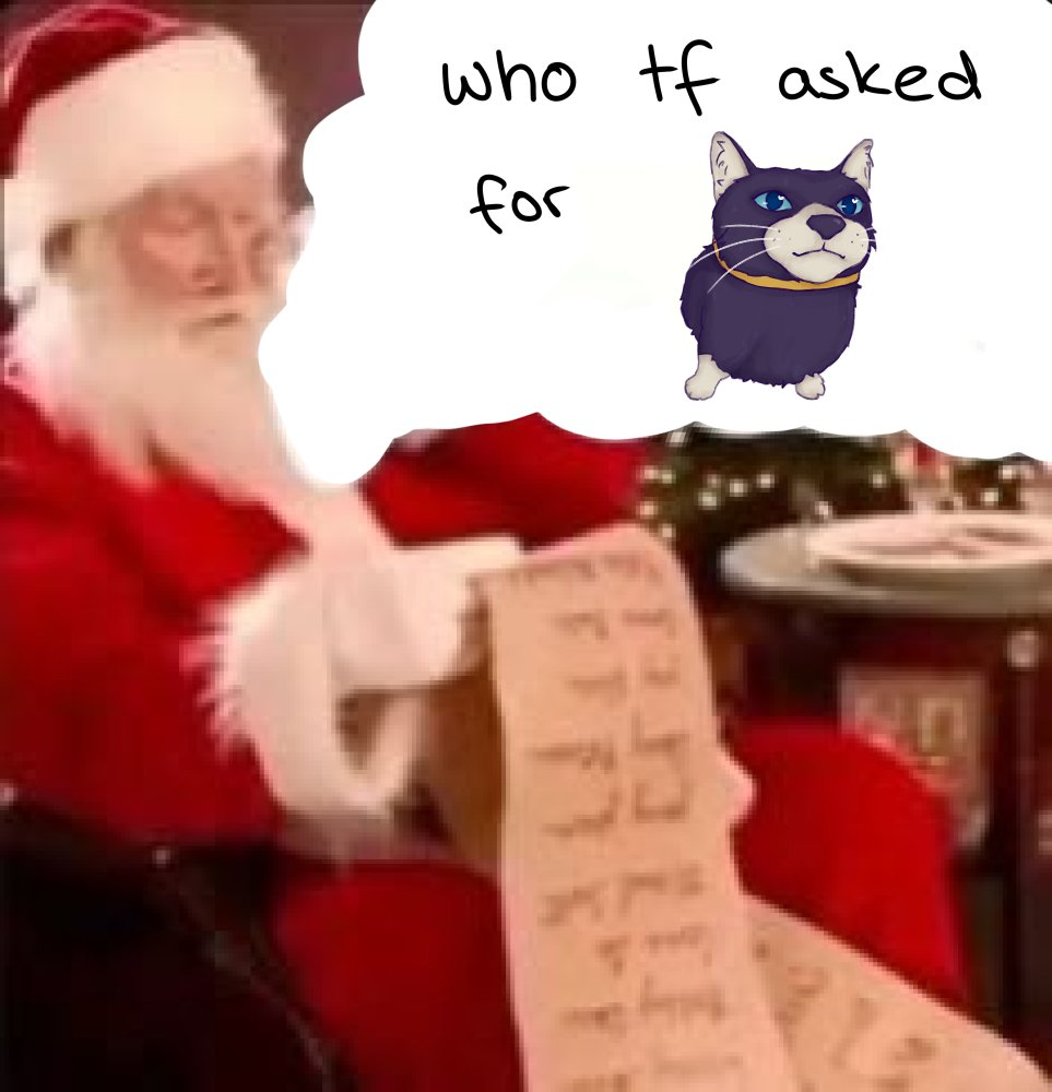 mona from persona (@everycatmona) on Twitter photo 