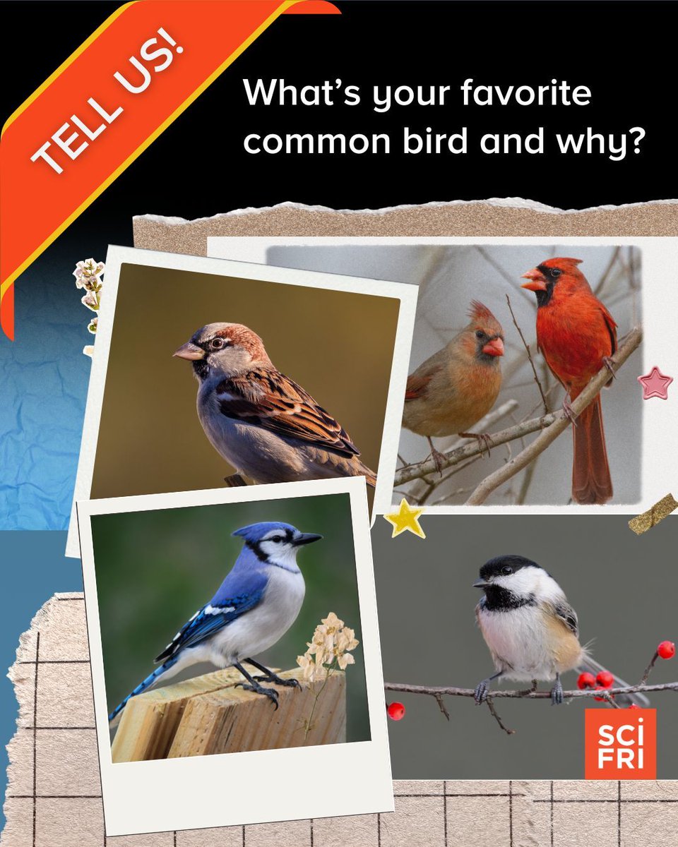 Science Friday tweet media