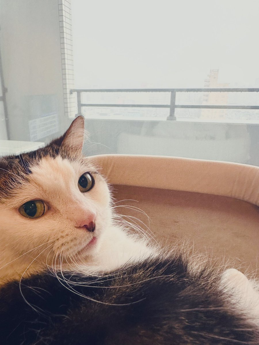 hiromussyi's tweet image. おはよー
行ってくるねー