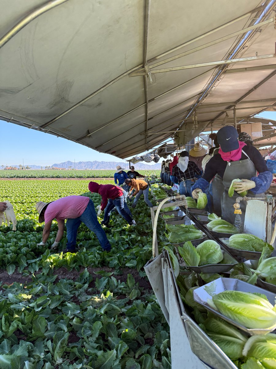 Tanimura&Antle tweet media