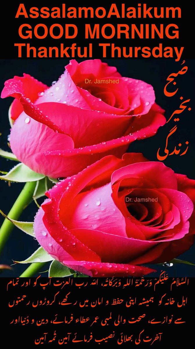 JamshedUSA's tweet image. 🌺🌺  Assalam   O   Alaikum  🌺🌺

    🌺Good Morning“X”Family🌺

         🌺Thankful Thursday🌺

🌺(Like + Rt = Follow Back ) 💯🌺