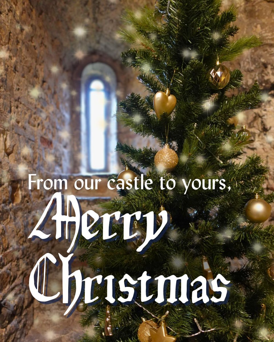 Colchester Museums tweet media