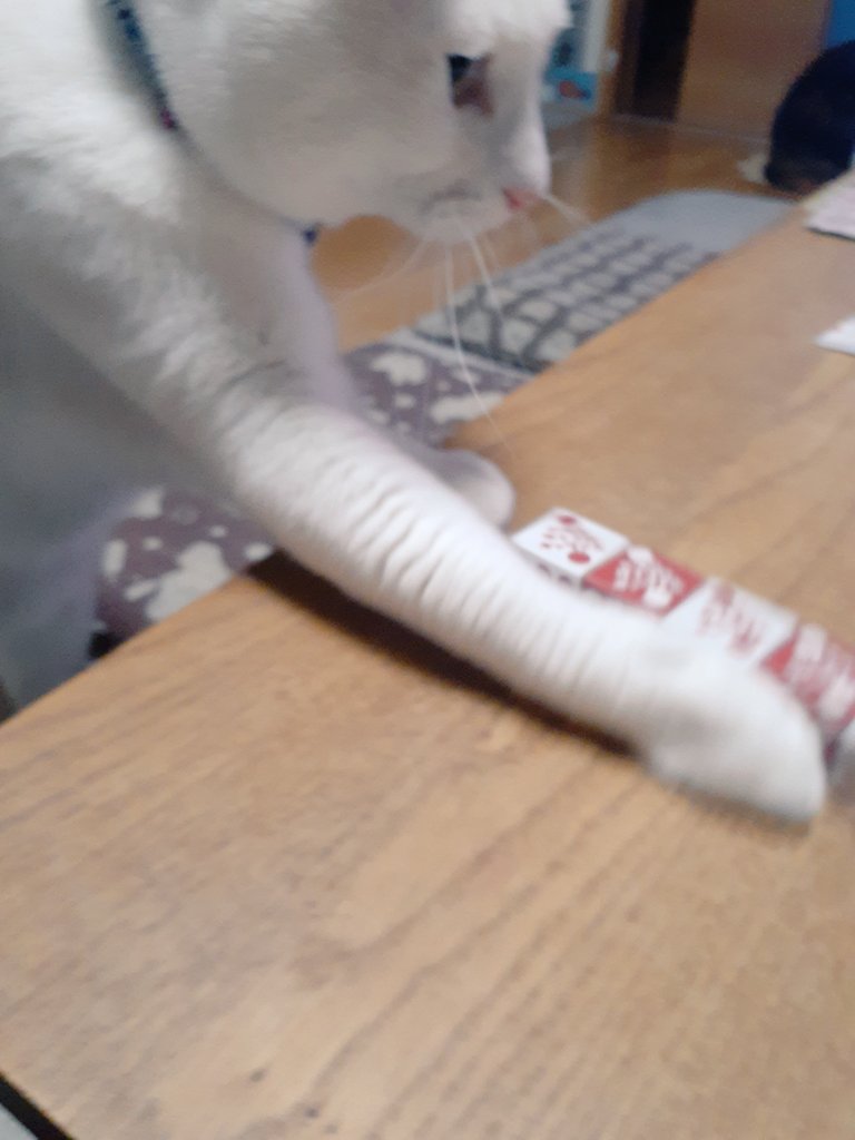 はるるん (@RNPrJ9xfX3PSoaA) / Posts / X