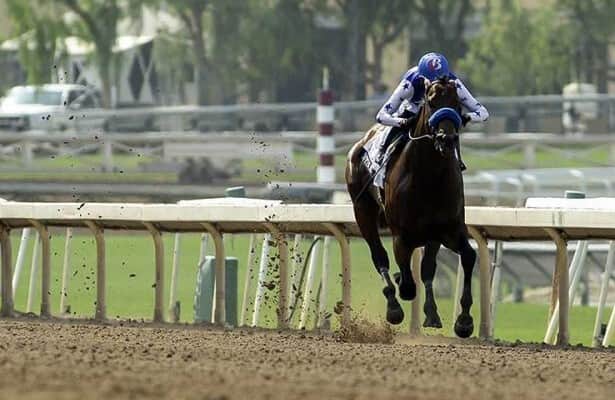 Division rankings.
Chip Gehrke (<a href="/DoctorDerby/">Chip Gehrke</a>) says move over Malibu. Nysos helps make the Laffit Pincay Jr. Stakes a more important race Sunday at <a href="/santaanitapark/">Santa Anita Park</a>.
horseracingnation.com/blogs/Doctor/D…
📸 Santa Anita / <a href="/benoitphoto_/">Benoit Photo</a>