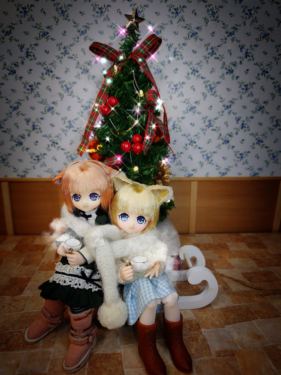 メリークリスマス🎄✨
素敵なイヴを過ごせましたか～🐱🐱