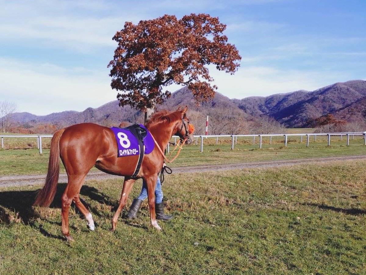 ♦️フォロワー様5000名様突破セール♦️ ♦️10/14終了‼️ KdKR (@crasher0701) / Posts / X