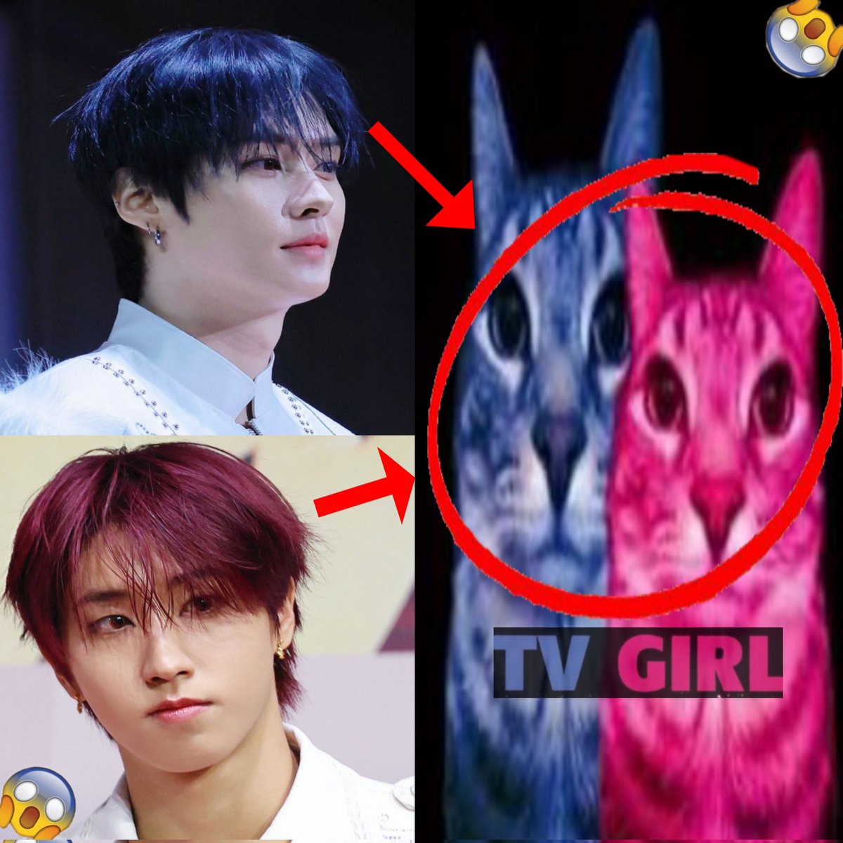 jisungcoholic's tweet image. 🚨 MINSUNG TV GIRL‼️🙀🙀