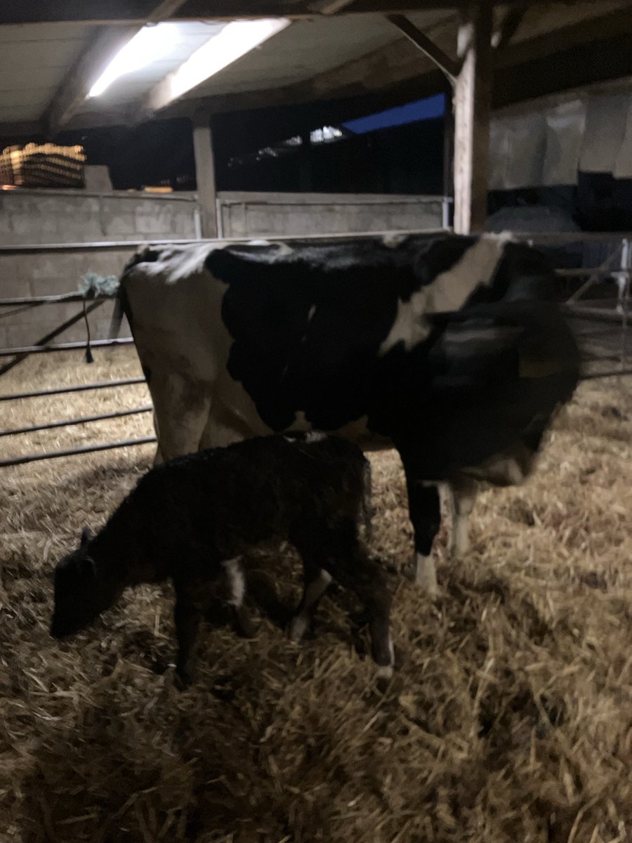 The joy of Christmas morning, young life and new life. Happy Christmas from the Yarwoods.