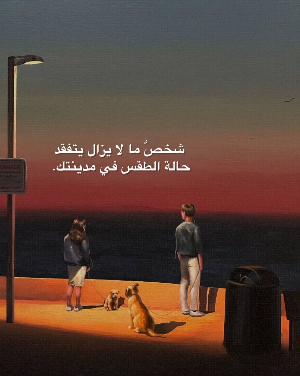 ✍ابغا صديق دب كبير محترم (@iwantbear07) on Twitter photo 