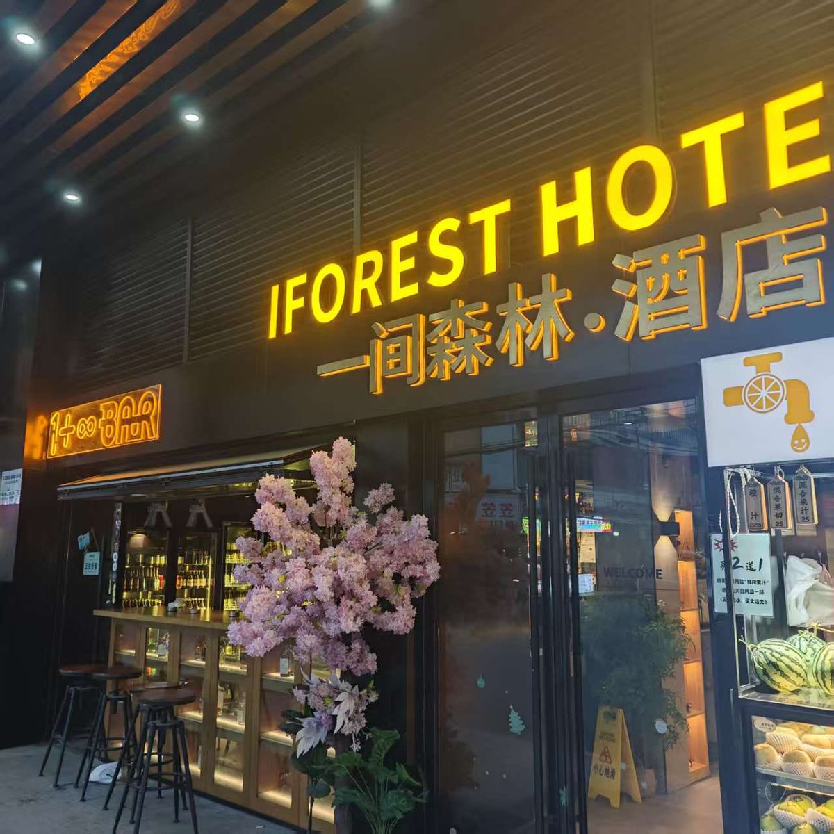 #上海 #一间森林 #青旅暴露 
青旅草黄毛男大