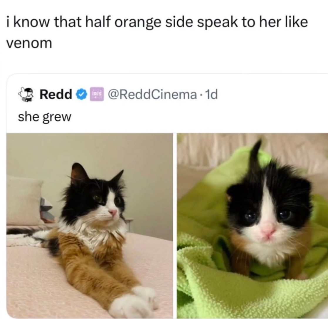 place where car shouldnt be (@carshouldnt) on Twitter photo 