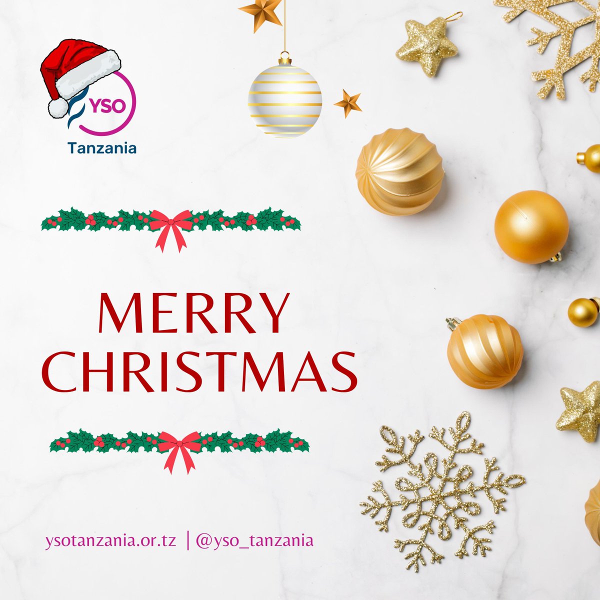 Youth Survival Organization tweet media