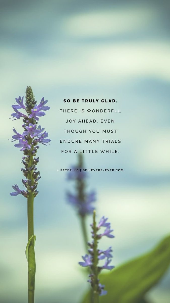 florrie604's tweet photo. The present times are difficult, but our Heavenly Father has prepared good days ahead for each of us.  #GoodDaysAhead #HopeInGod #ChristmasHope https://t.co/6wDkKrm10k