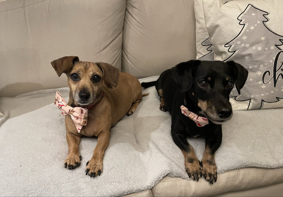 Nicola Bryant 🇺🇦 🌻 tweet media