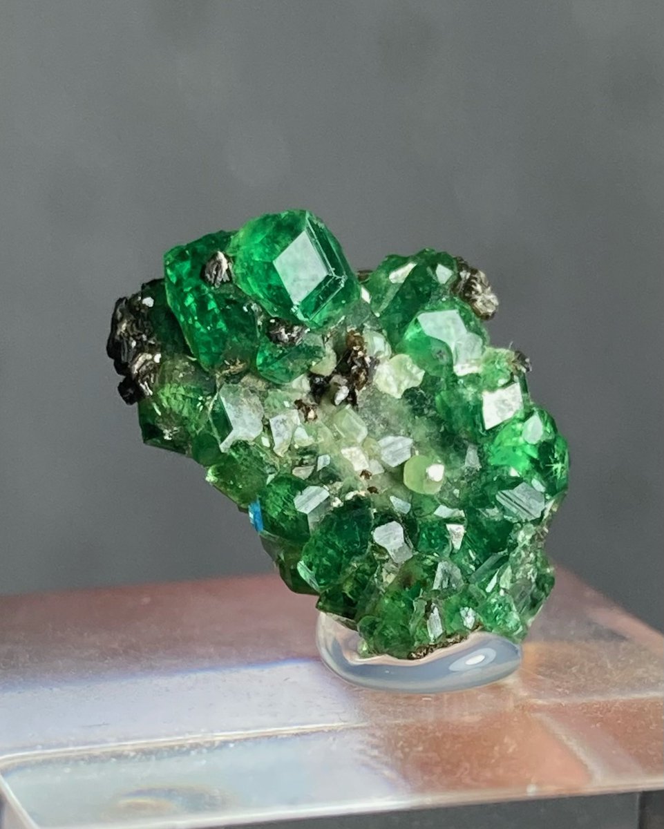 metal_to_isi's tweet image. 今日も本業から副業派遣へ
バカ稼ぎしてくるわ🤘

クリスマスカラーのガーネット✨