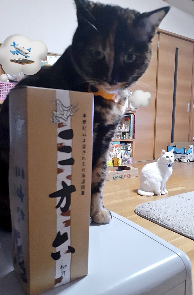 はるるん (@RNPrJ9xfX3PSoaA) / Posts / X