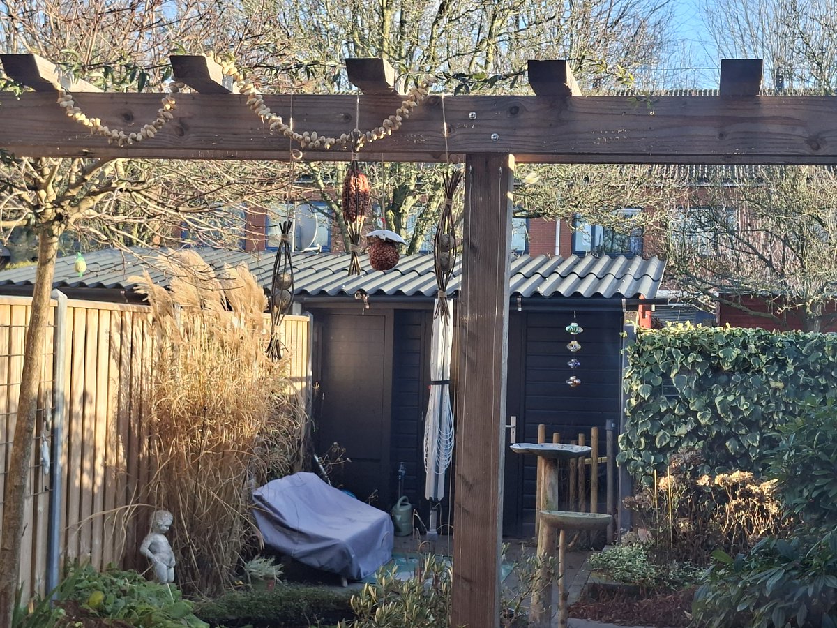 Goedemorgen.....laat de vogeltjes maar komen!
Fijne eerste kerstdag!