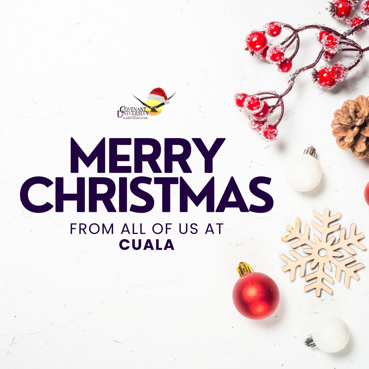 Covenant University Alumni Association (CUALA) tweet media