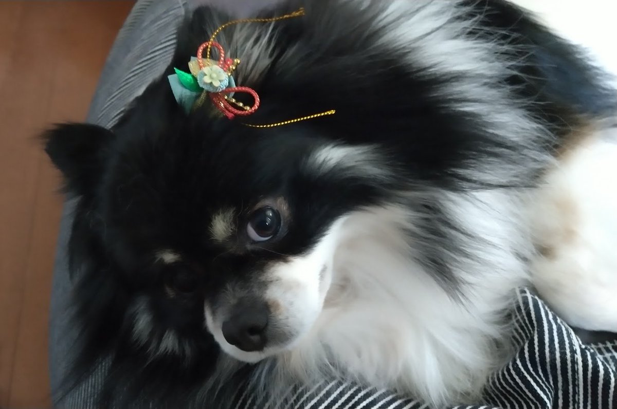 YOU (@touchbikeks2) / Posts / X