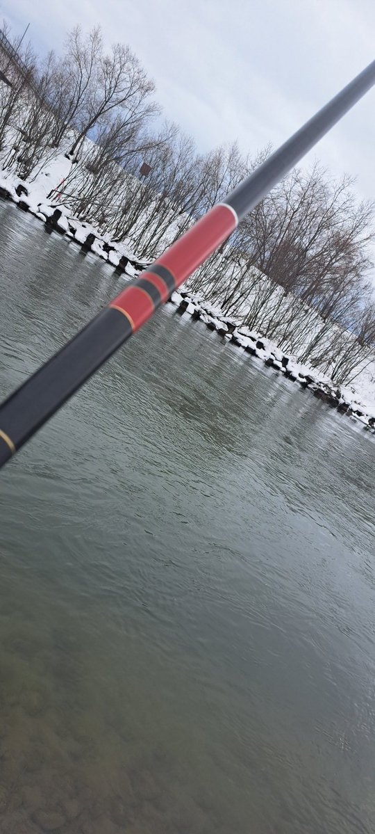 viphage's tweet image. 時間が早いのでもう1ヵ所行って見た⁉️1回バラシ後に喰わせたわ⁉️#がまかつ#サーモンロッド#渓流釣り#北海道#本流延べ竿釣り