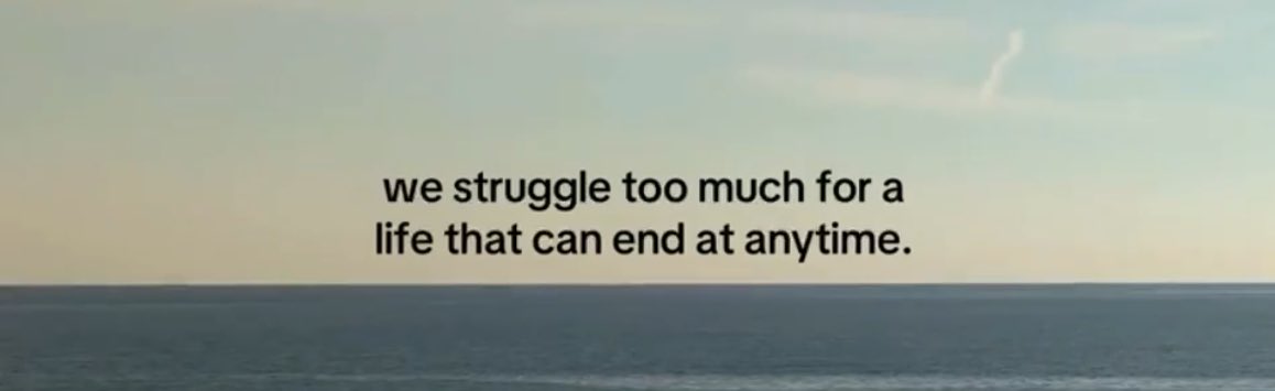 cryptic_webber's tweet image. Gm familia

I’m here again with @MysticDAO