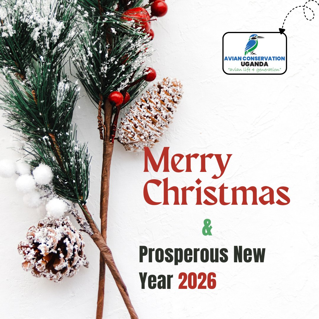 Avian Conservation Uganda tweet media