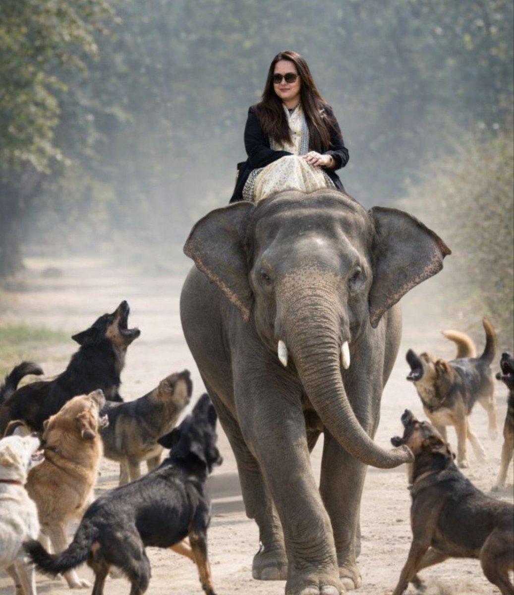 TEKA RAM tweet media