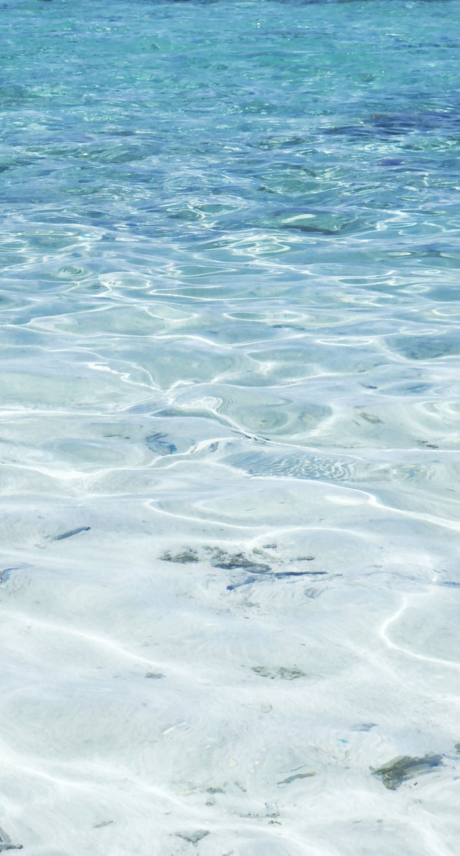 markmarkovic3's tweet image. やっほー テンション上がる🎶けど動画見よ📺！ 💪 👨‍👧