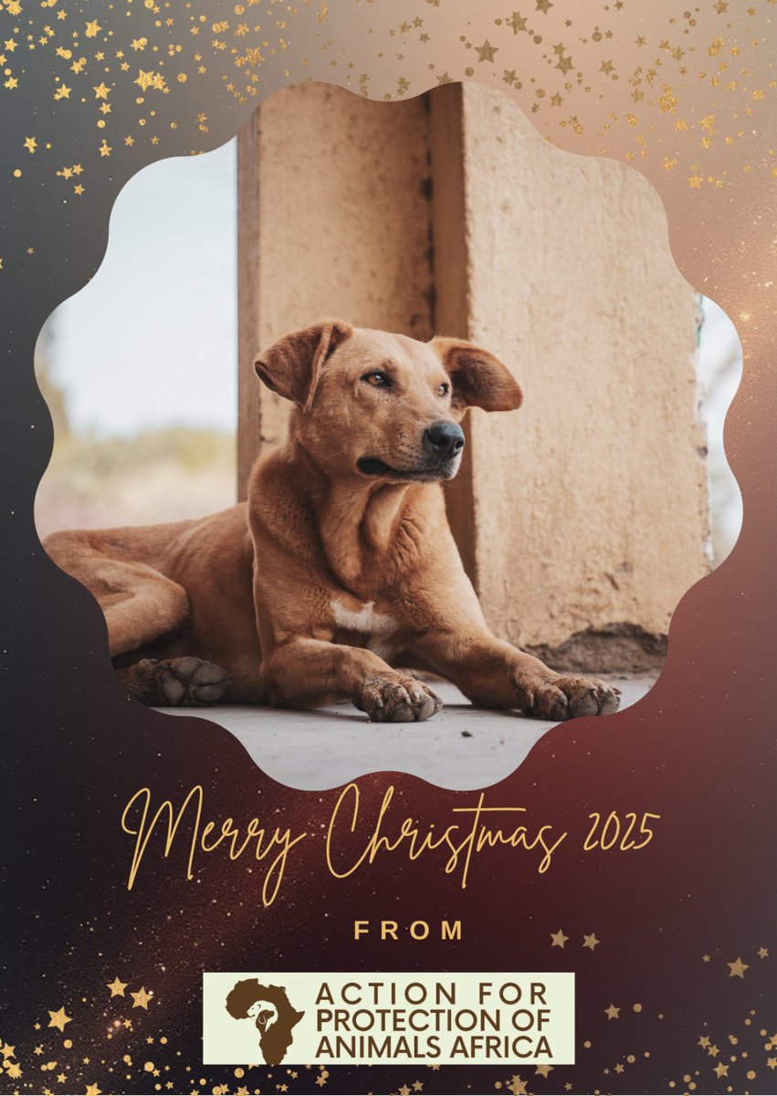 Action for Protection of Animals Africa - APAA tweet media