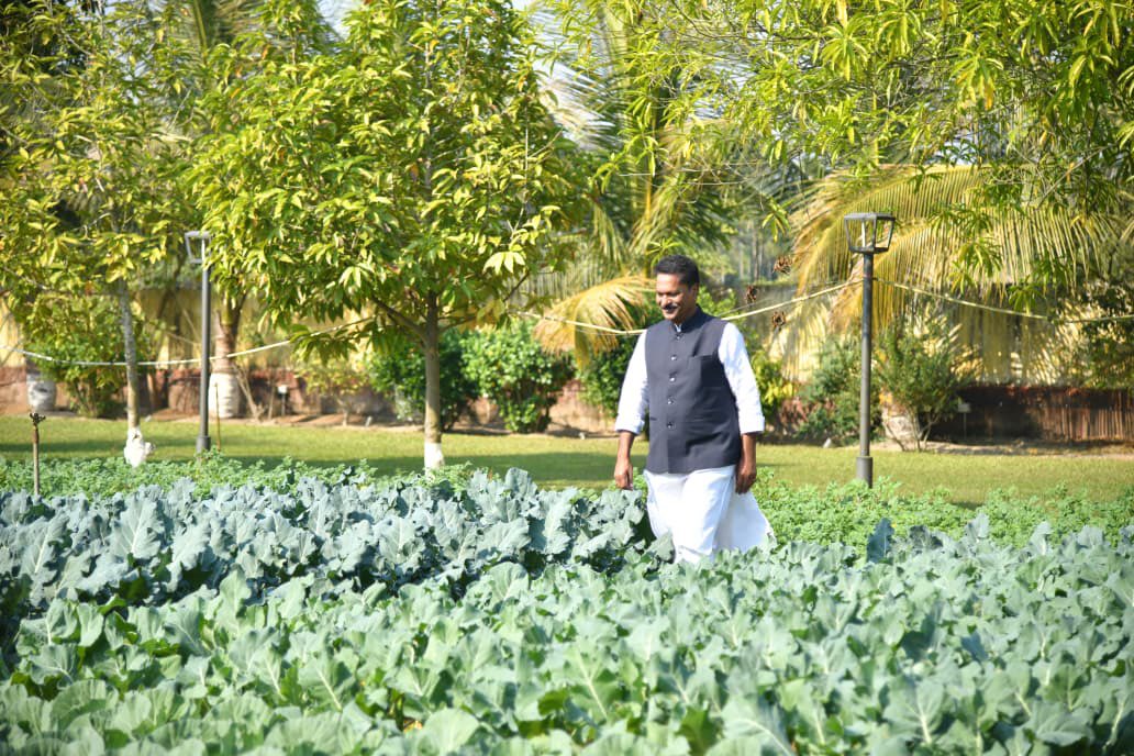 Gobi farming at my residence in Dhekiajuli ✅