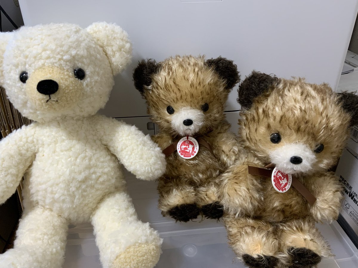 ぬいぐるみの童心【公式】🥺 (@Dousin_kawaii) / Posts / X