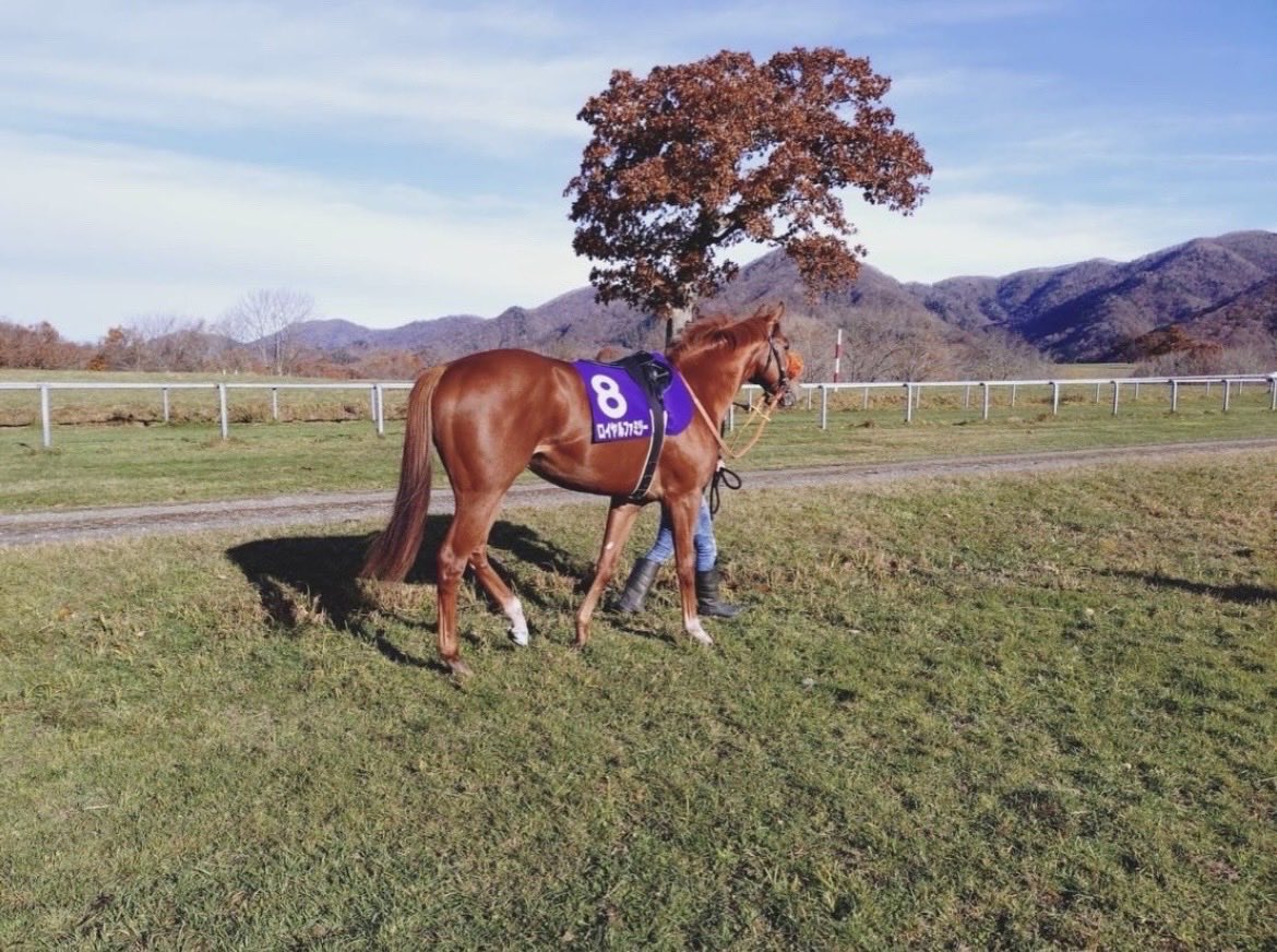 ピーちゃん (@ptan16pico28) / Posts / X