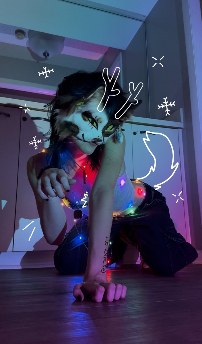 Merry Meowmas ! ≽^•⩊•^≼ 🎄