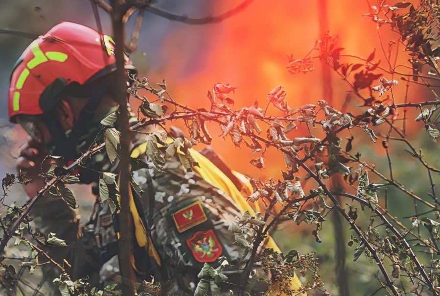 Bečić: Poslije dugo truda, uspjeli smo da nađemo rješenje za nagrađivanje svih pripadnika Vojske koji su bili angažovani na gašenju požara.

Neka ovaj dodatak na decembarsku zaradu bude mala, ali iskrena novogodišnja čestitka države vama i vašim porodicama! 🇲🇪❤️