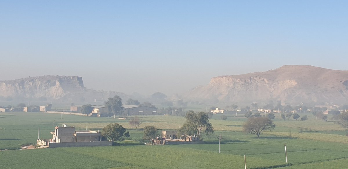 Shivani Gupta tweet media