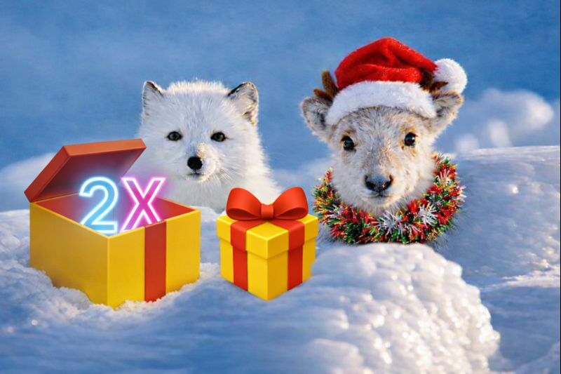 thsottiaux's tweet image. For Codex users, to thank you all for the fun we've had over the last months, our first gift is that we have **reset rate limits and are lifting the usage limits to 2X the usual limits until the 1st of Jan**. Wish you all a merry holiday and lots of coding!!

Spread the word 👀