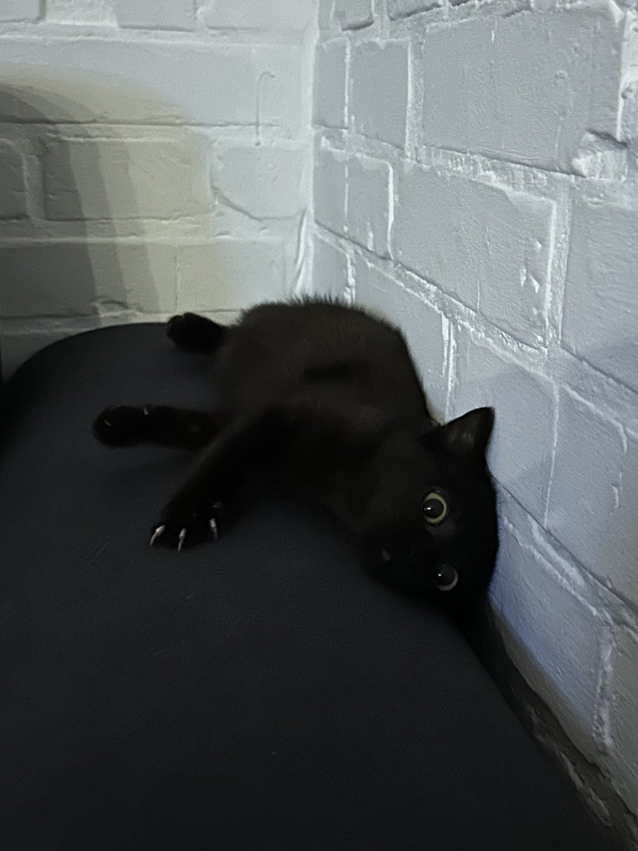 Ми плюс мінус на середині. На бус для ппошників не хвата ~175к. Добивайте 

send.monobank.ua/jar/2sggSjjHRS