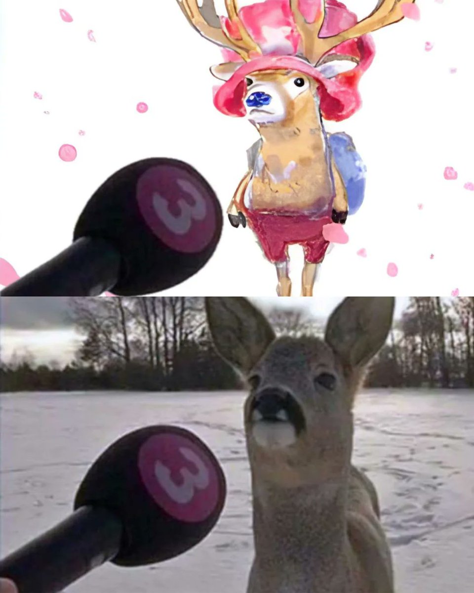 AnimexTwts tweet picture